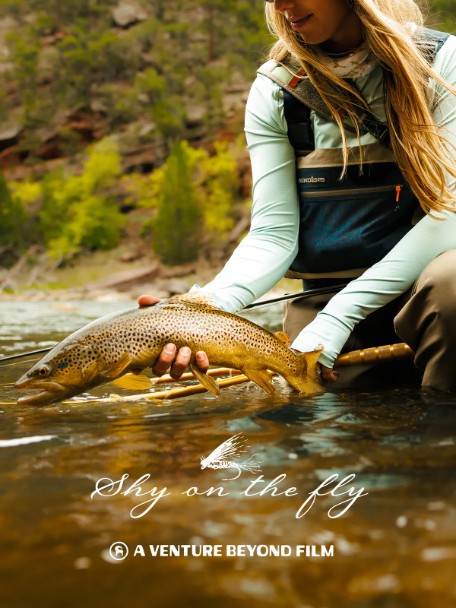 Shy On The Fly — film poster
