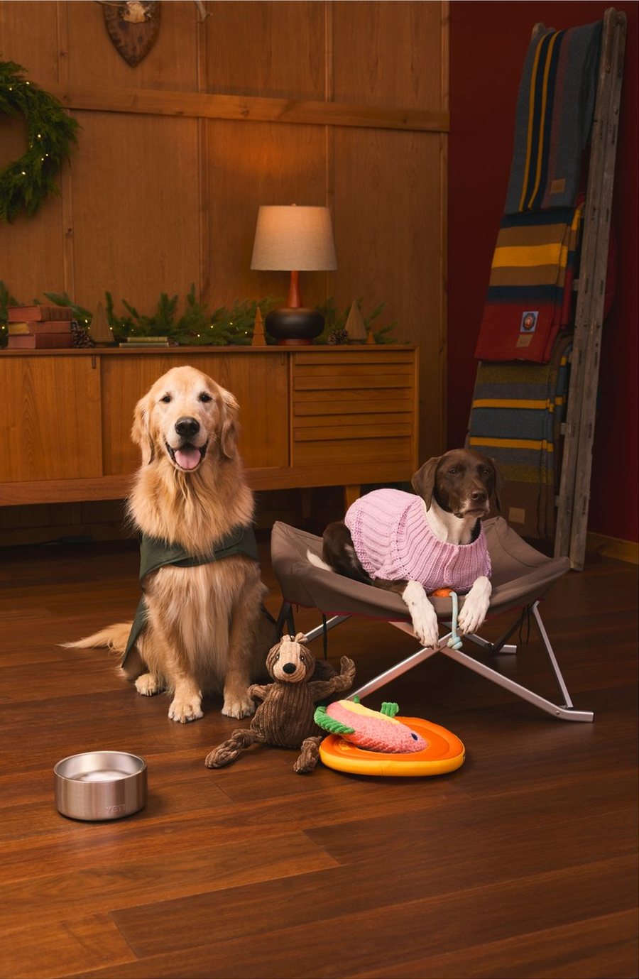 Haul-iday pets set